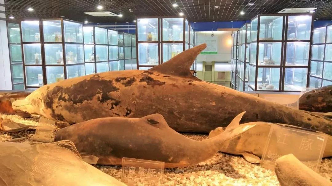 曝光！这些关于南京师范大学的