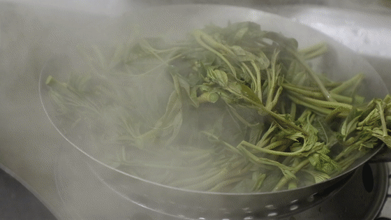 鲜香味美的凉拌香椿，活在童年回忆的一道夏季凉拌菜