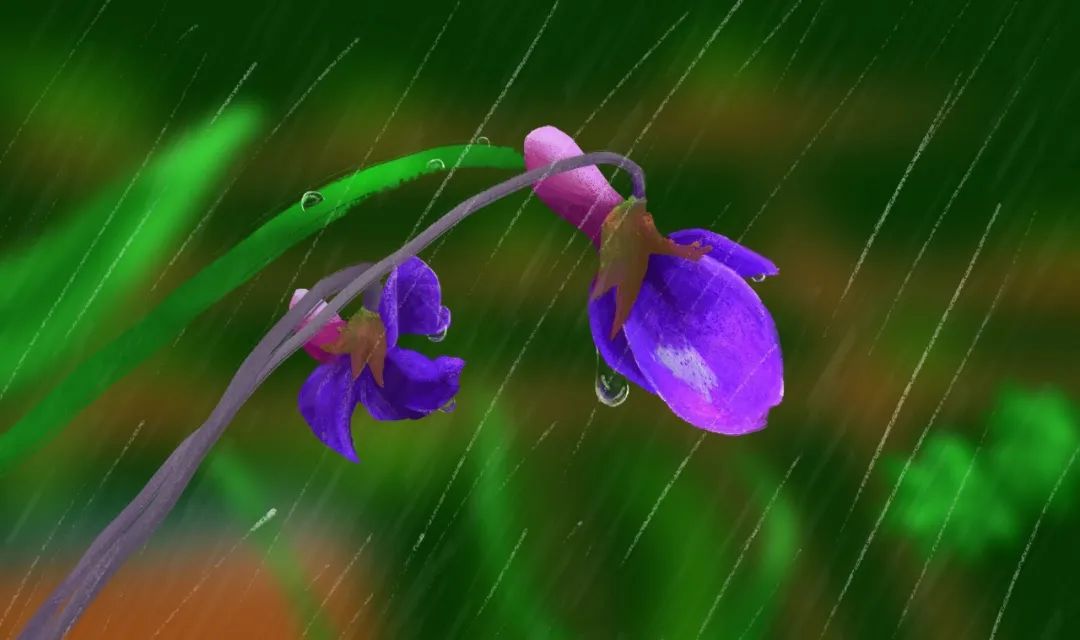 读诗｜下雨了，我真的好想你