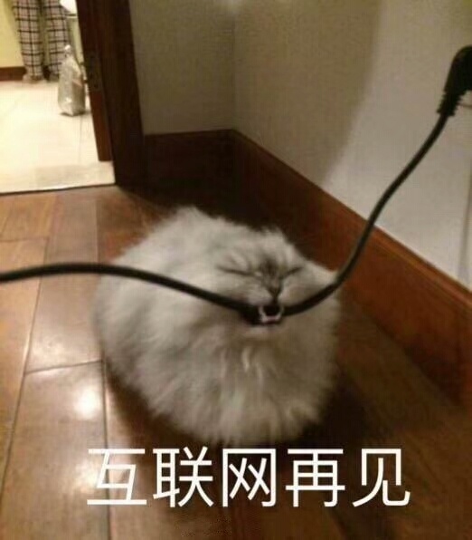 暴躁猫咪表情包：说人话