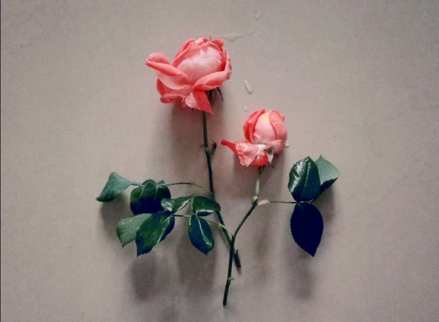 六篇高考满分作文——关于善，关于爱，关于价值，关于情怀