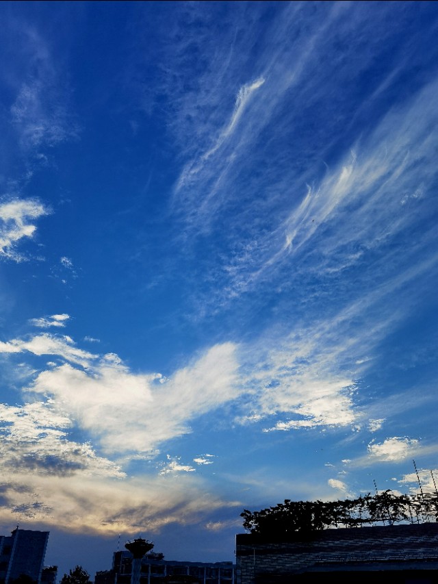 今天傍晚樂山的大片式美雲 象不象一隻飛舞的鳳凰 天天看點