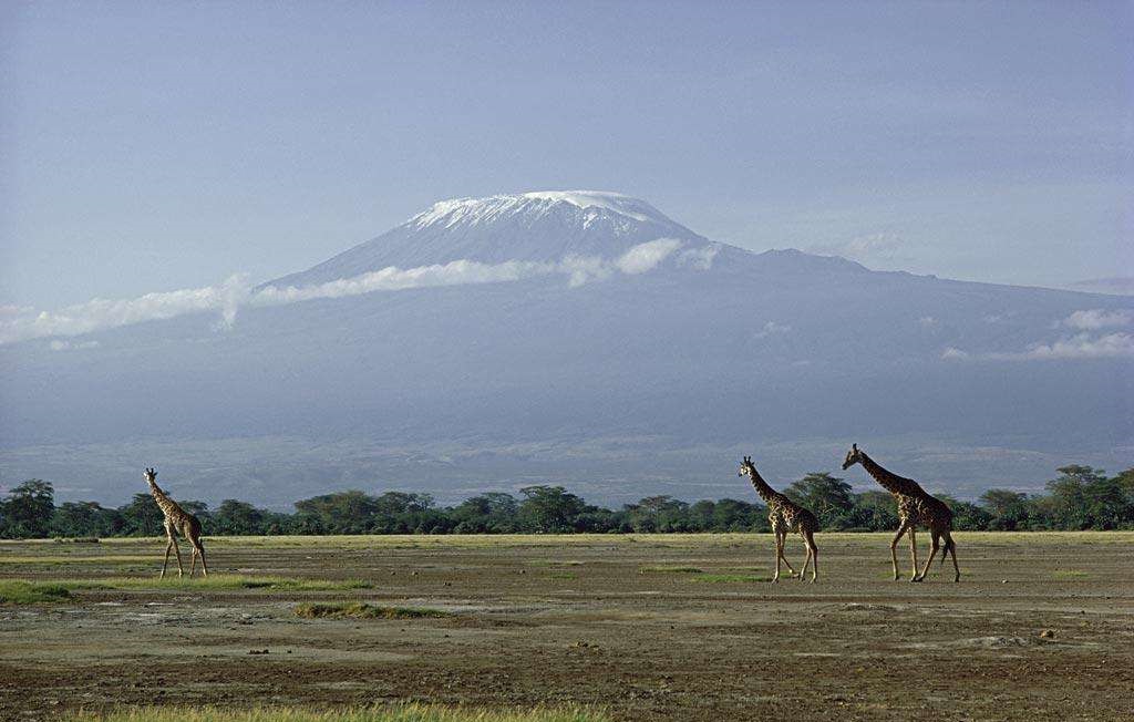 为什么地处非洲赤道附近的东非地区,气候类型却是热带草原气候?