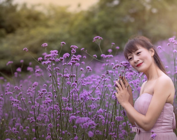 我来的时候 粉黛草是风景 （散文诗）