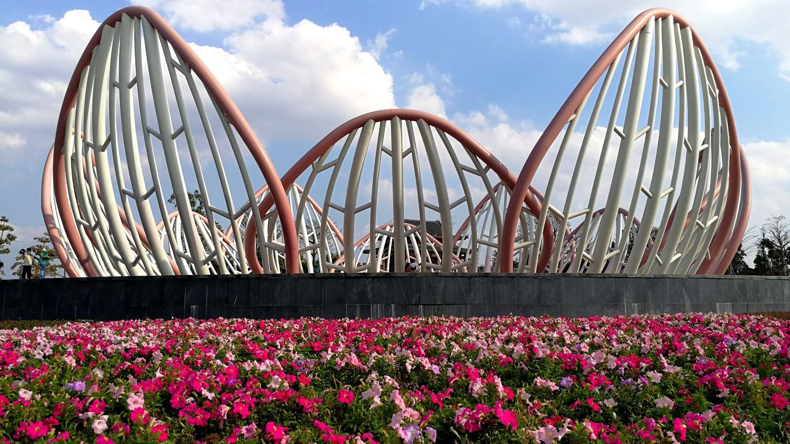 桂平一中2017高考（广西贵港四所高中）