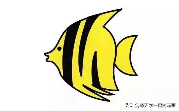 10种海洋生物详细教程，还有颜色喔，收藏！