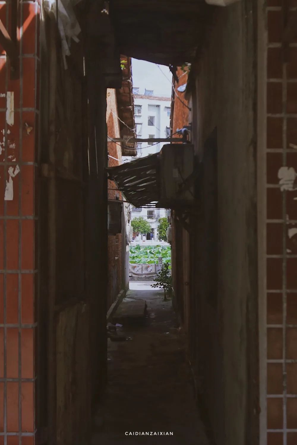 情人桥、城南路、二小巷子、蔡正街等地方，勾起你多少回忆？