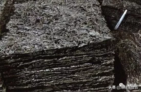 市场常见的102种海鲜，肉质鲜美，营养丰富，你们吃过几种？