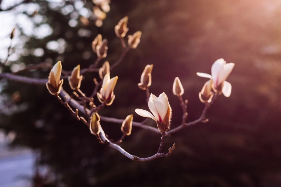 来大外！一起展望前方星辰大海！