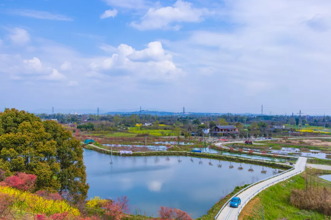 水鄉青槓樹村農科村戰旗村5個國家4a級旅遊景區三道堰水鄉,青槓樹村