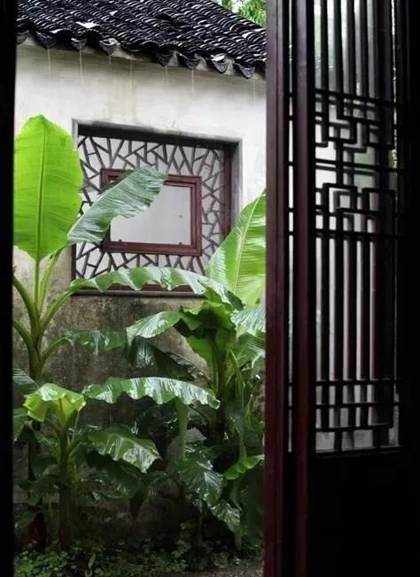 十首听雨诗词：雨声淅淅，你在思念谁？