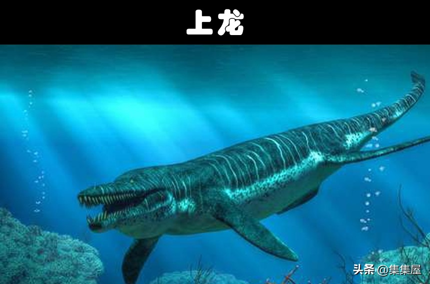 古代十大恐怖生物(比巨齿鲨还要可怕的10个史前生物)