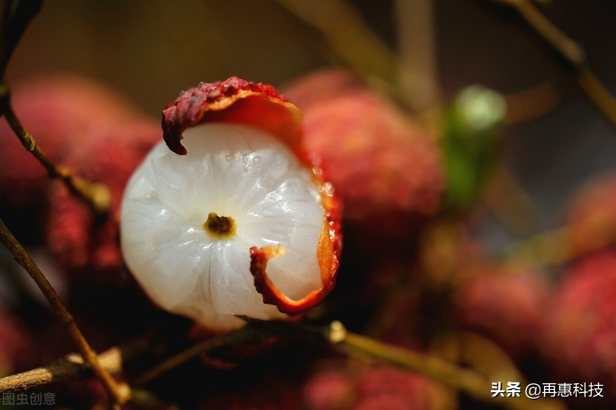 夏天常见的水果中，含糖量最高的5种水果排名，有你赞不绝口的吗