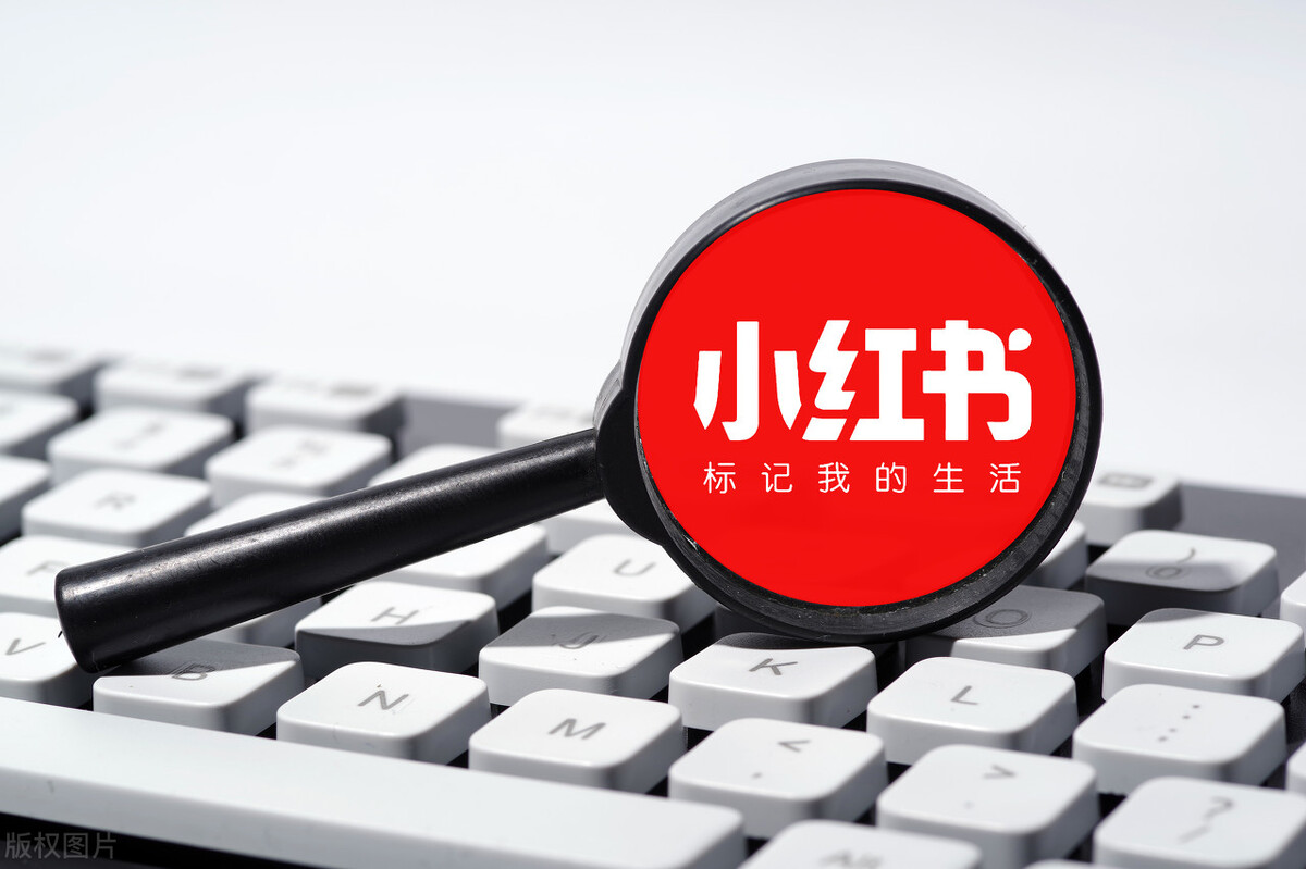 为什么在小红书搜不到你的笔记？关于收录你该知道的几个要点