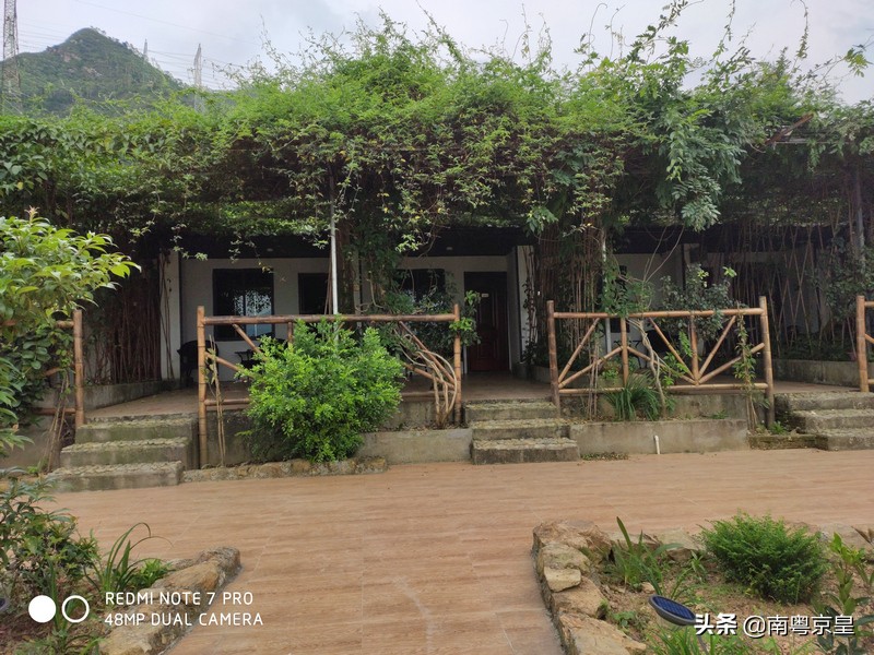 清远北江河边有个小渔村~白庙，还有个娃娃鱼养殖基地雪鲵庄园