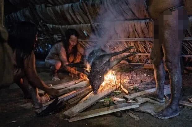 亚马逊雨林食人族(亚马逊雨林瓦奥拉尼部落 曾误把5名美国传教士杀害而闻名)