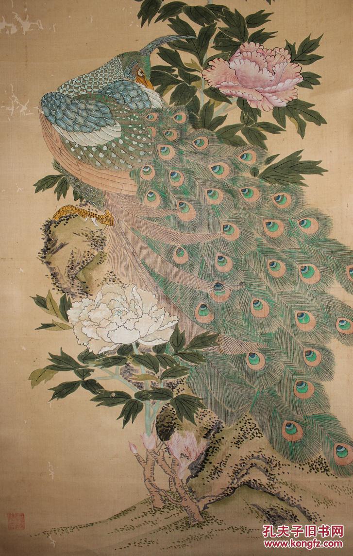 孔雀东南飞！高贵、冷艳的白孔雀