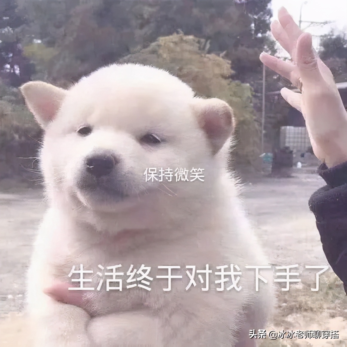 秋冬烫染发型，看完立刻去找发型师