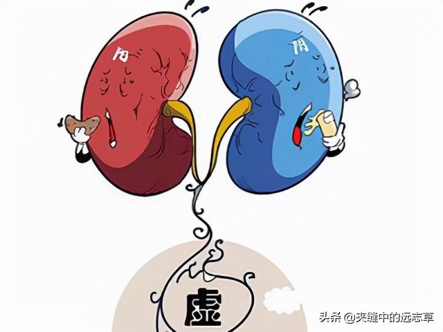阴阳两虚，脾肾不足？一剂还少丹，阴阳双补，补脾益肾，交通心肾