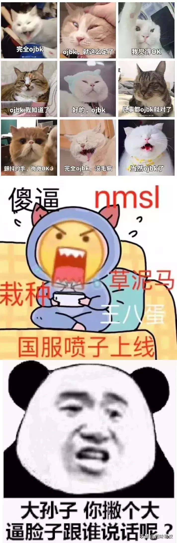 “nmsl”和“ojbk”这样的网络流行语真的“时髦”吗?