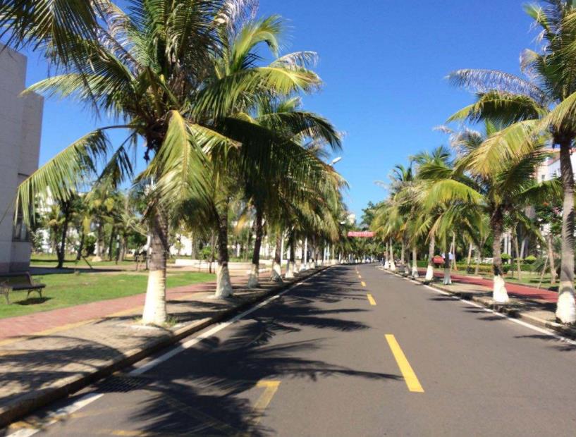 海南大学为何入选“双一流”大学，在全国排名仅是148名