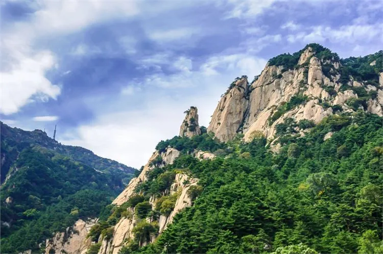 5块钱的泰山,为什么在现实中看不到?