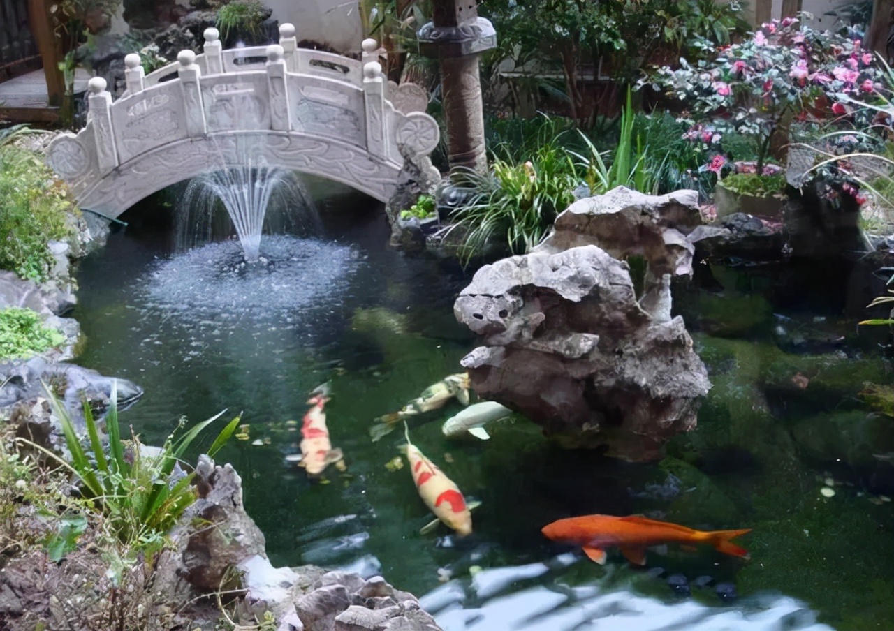 鱼池里的中国红，这样的庭院是不是爱了