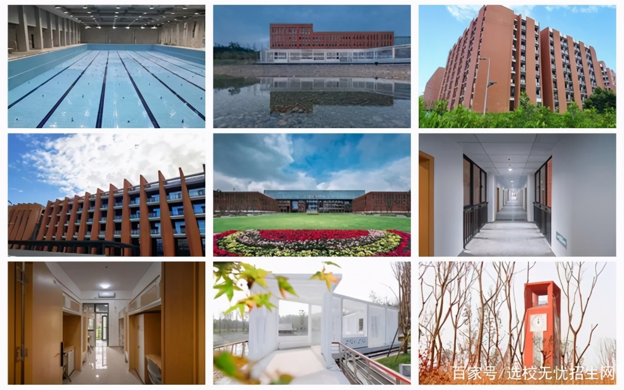 中国科学院大学重庆学院继续教育学院数字媒体与传播项目招生简章