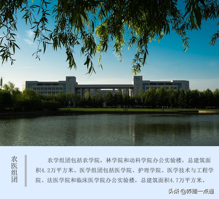 杨自军，河南科技大学动科院动医系主任，教授，宠物兽医专家