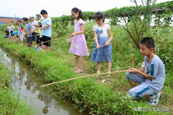 钓龙虾的方法（小龙虾的垂钓方法方法简单好操作）