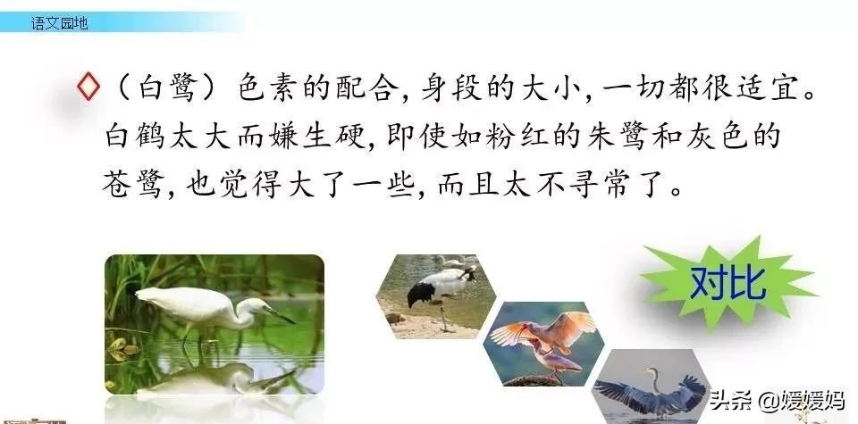 部编版语文五年级上册教材课后习题参考答案