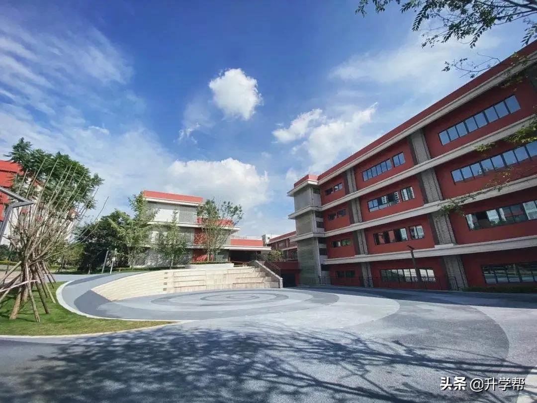 成都，疯狂建学校！城南大有看头