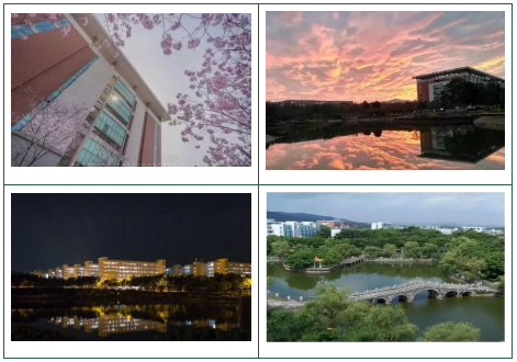 高职高考必看｜全面了解韶关学院