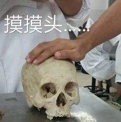 表情包 无比快乐