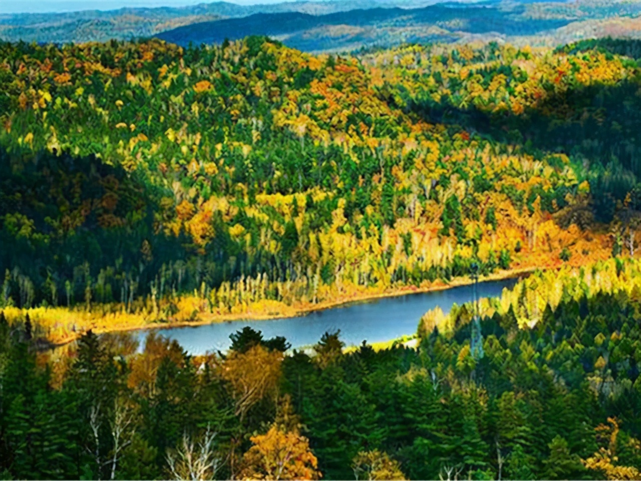 黑龙江省伊春,绥化市5a,4a级旅游景区名录,喜欢的收藏