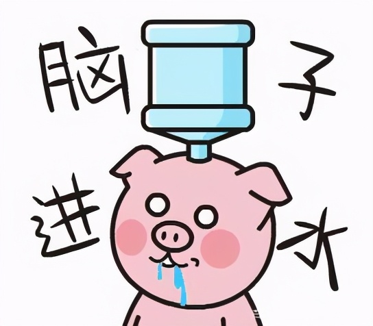 脑子进水图片(脑子里真的有水) - 赤虎壹号