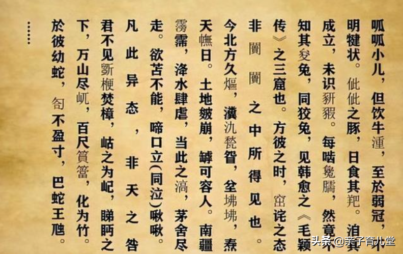 另类高考满分作文，生僻字连老师都不认识，剑走偏锋也靠平时积累