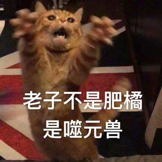 惊奇队长噬元兽表情包：我噬元兽不发飙，你当我是橘猫