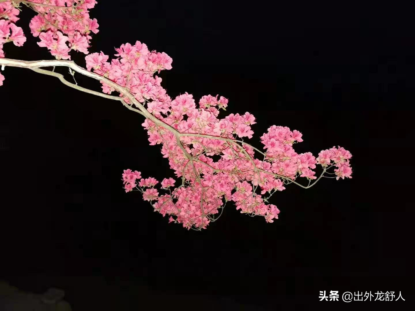 安徽舒城：请到大美舒城来，幽险奇秀万佛山