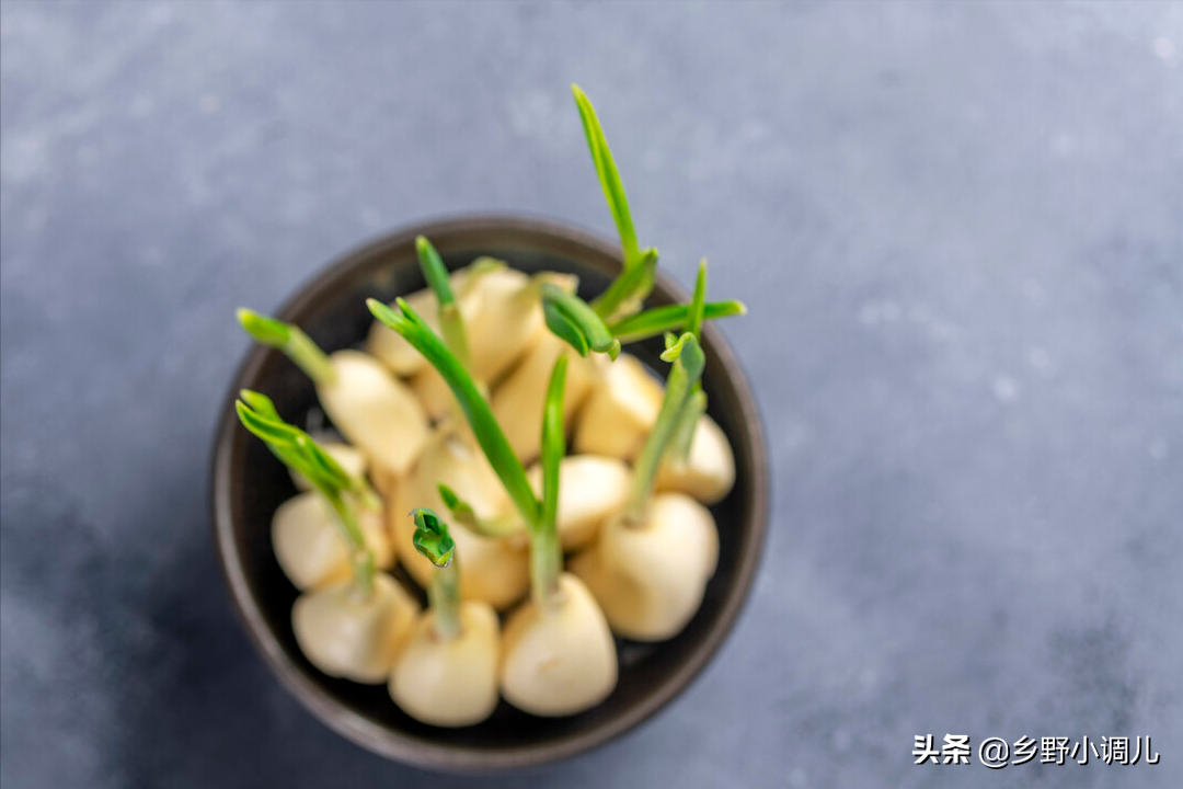 水培大蒜要剥皮吗（简单5步绿油油的蒜苗端上桌）