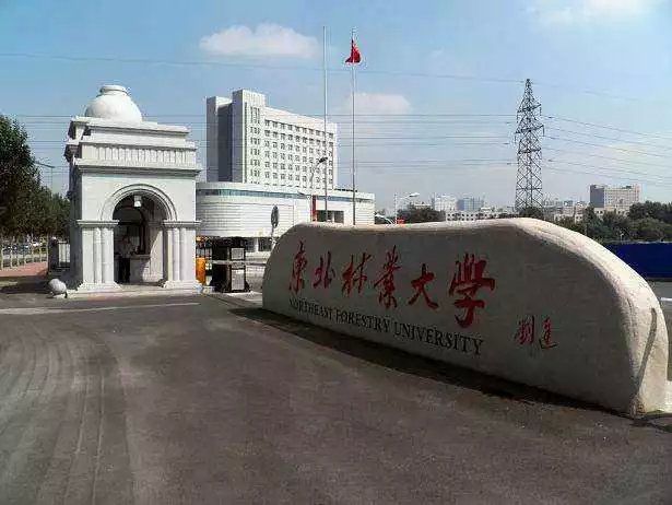 择校篇 | 法硕考研备考锦囊之东北林业大学