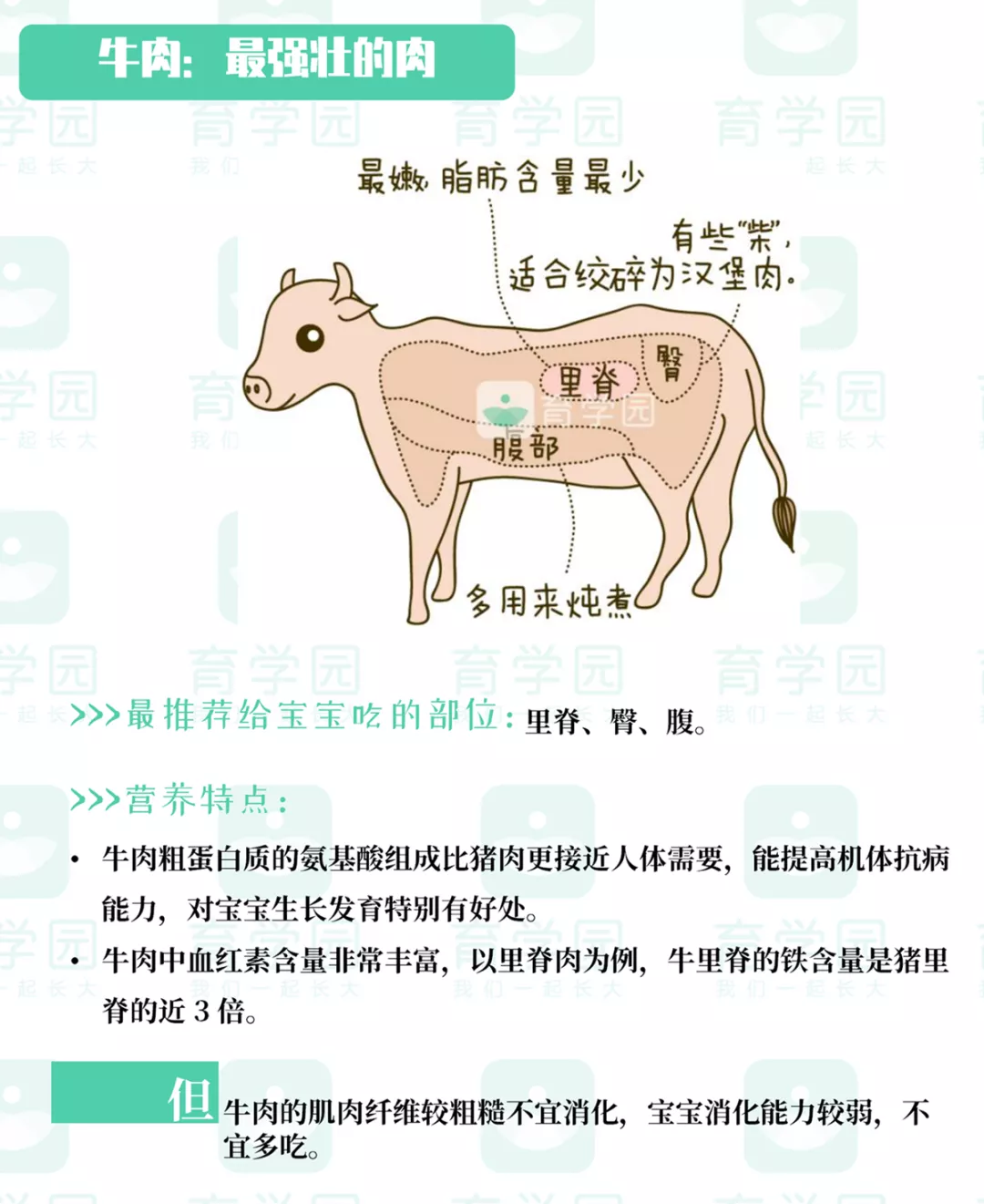 宝宝多大可以吃肉？什么肉最有营养？看这篇就够了