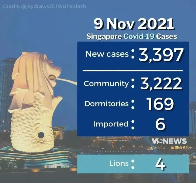 月薪8000新币，新加坡夜间动物园为狮子招聘新冠检测员？