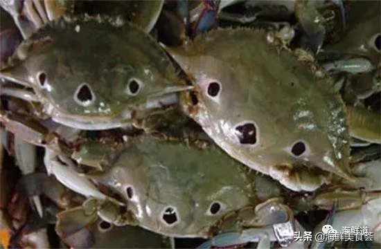 市场常见的102种海鲜，肉质鲜美，营养丰富，你们吃过几种？