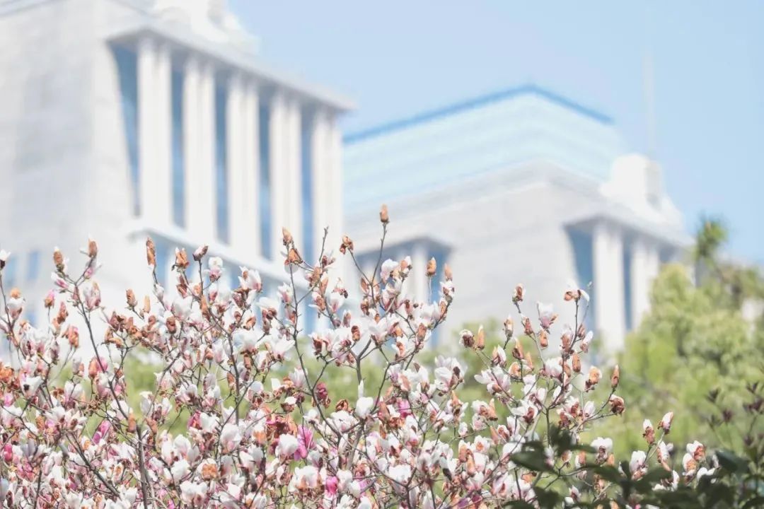 复旦大学2022年教育硕士项目招生宣讲，10月14日直播来袭