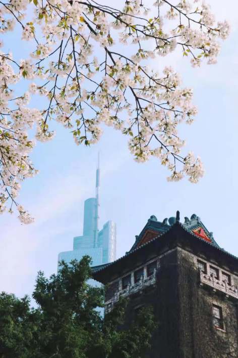 94位院士参与“主演”，拍摄横跨两个世纪，南京大学“百年巨幕”今日震撼上映！