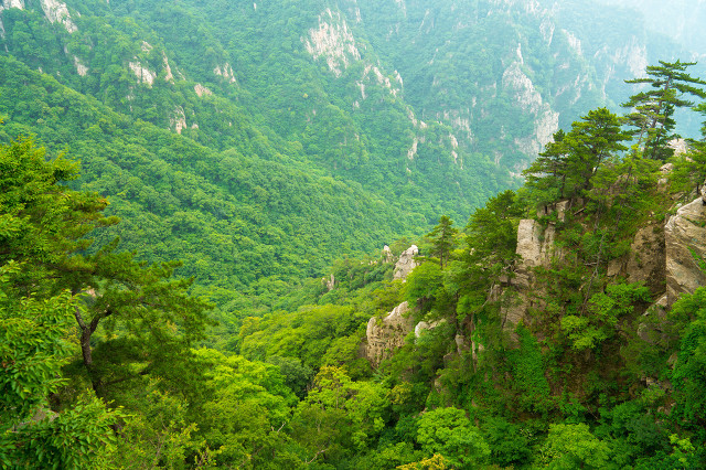 夏日旅游河南省哪十个地方最值得去看看？