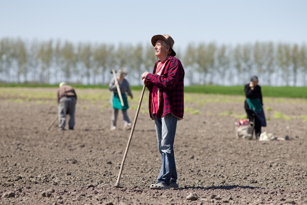山东新高考报志愿要不要找机构帮忙填报？