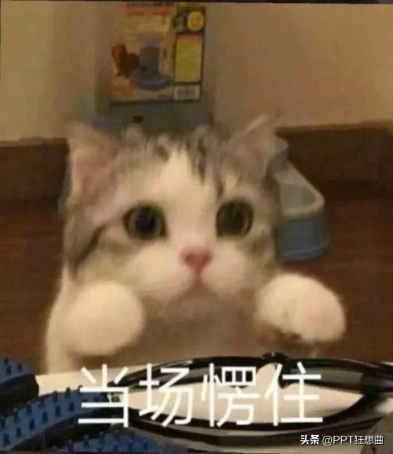 啊！小米MIX4发布会PPT全面泄露，29页内容我先干为敬