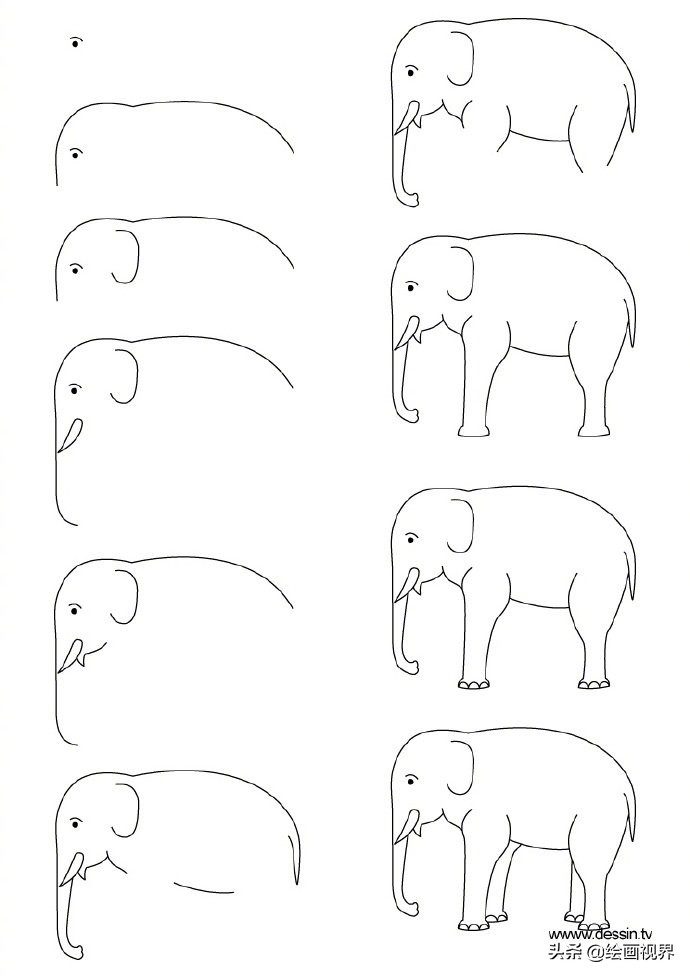 孩子想要画画,你不会教?9种动物简笔画线稿教你画,简单易学